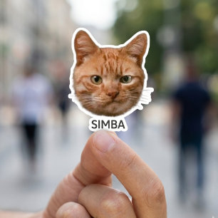 Adesivos Personalizados de Animais de Estimação De