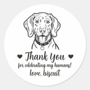 Adesivos Personalizados de Cachorro Weimaraner par
