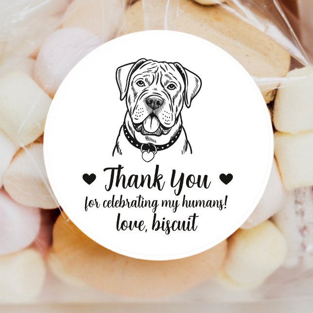 Adesivos Personalizados de Cane Corso para Lembran (Criador carregado)