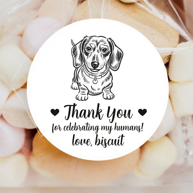 Adesivos Personalizados de Casamento com Dachshund (Criador carregado)