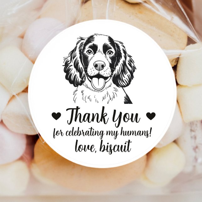 Adesivos Personalizados de Casamento com Spaniel (Criador carregado)