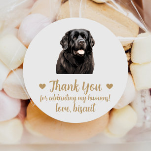Adesivos Personalizados de Casamento de Cão Terra-