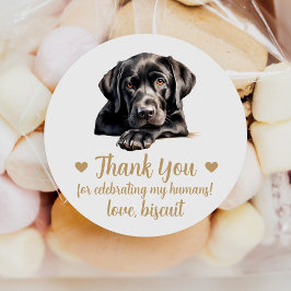 Adesivos Personalizados de Casamento para Cachorro