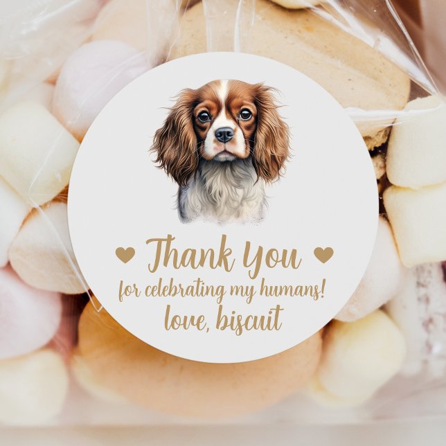Adesivos Personalizados de Casamento Spaniel (Criador carregado)