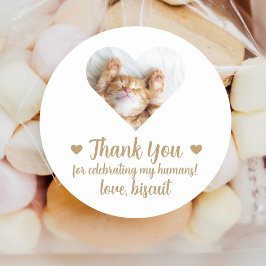 Adesivos Personalizados de Gato para Lembranças de