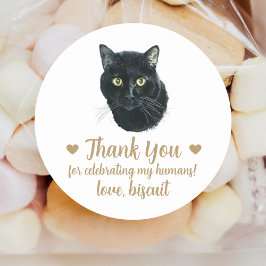 Adesivos Personalizados de Gato para Lembranças de