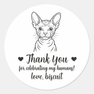 Adesivos Personalizados de Gato Sphynx para Lembra
