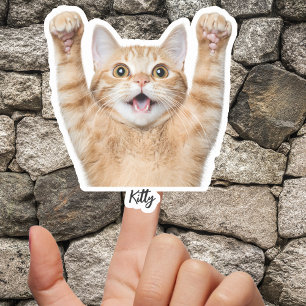 Adesivos Personalizados para Pets – Decais de Vini