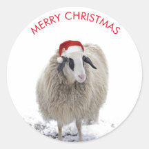 ADESIVOS PERSONALIZÁVEIS DE OVELHA COM CHAPÉU DE P