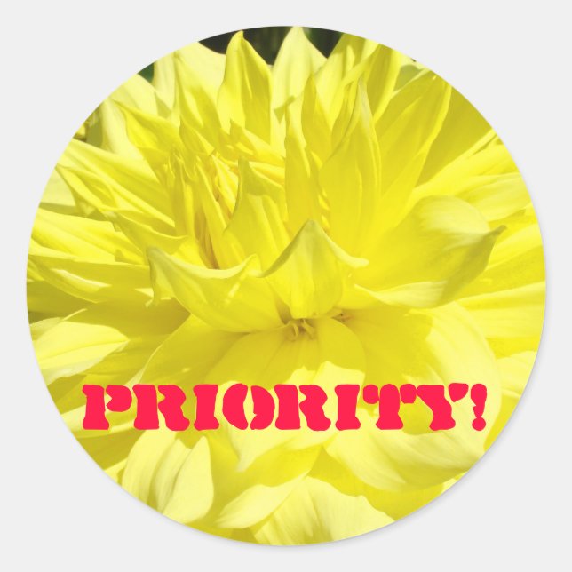 Adesivos Priority! Flores Amarelas de Dahlia Perso (Frente)
