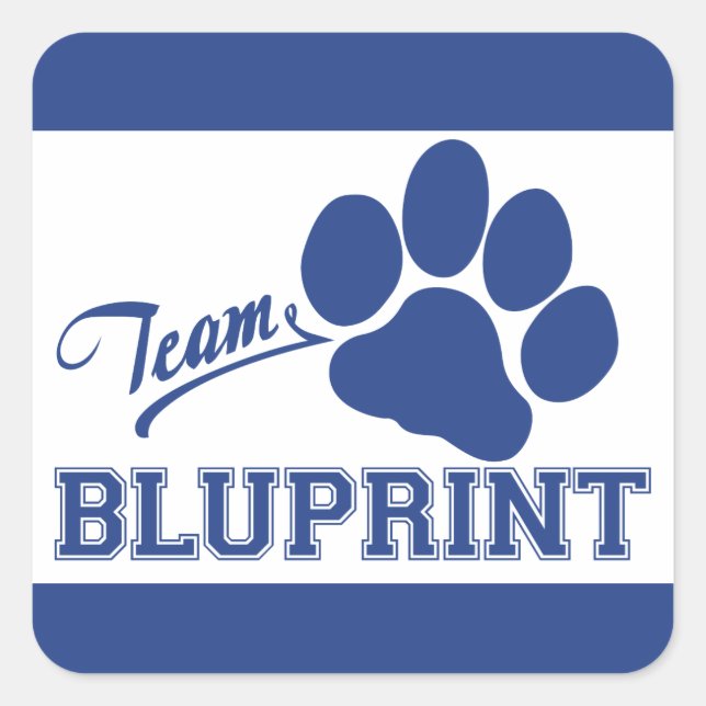 Adesivos Quadrados BluPrint de Equipe (Frente)
