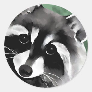 Adesivos Raccoon
