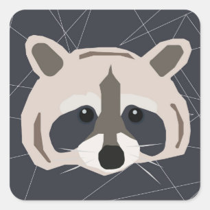 Adesivos raccoon
