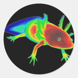 Adesivos Rainbow Axolotl