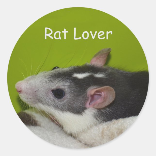 Adesivos Rat Lover (Frente)
