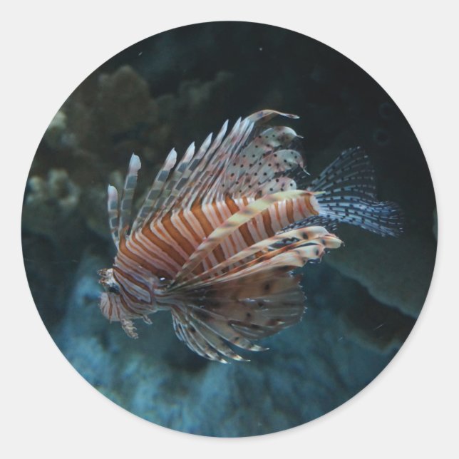 Adesivos Red Lionfish (Frente)