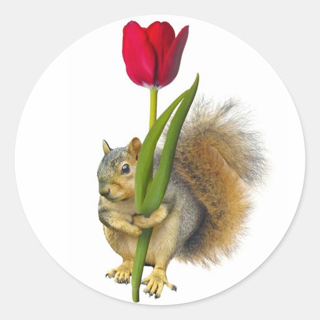 Adesivos Red Tulip Quirrel (Frente)