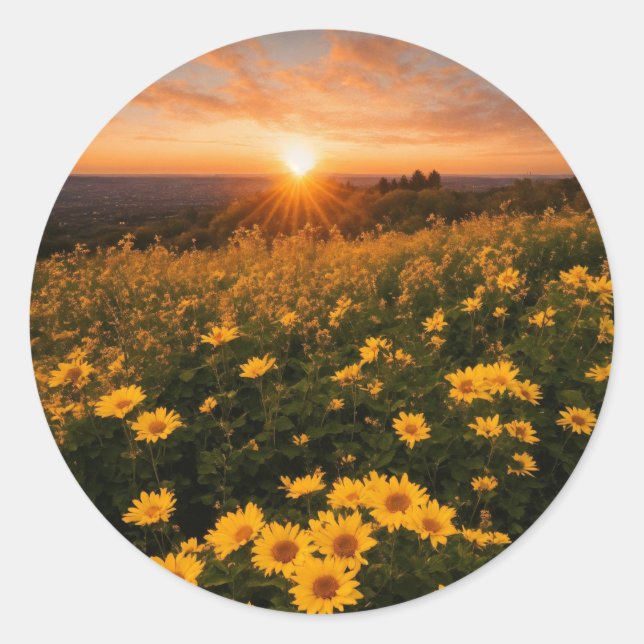 Adesivos redondos clássicos (Frente)