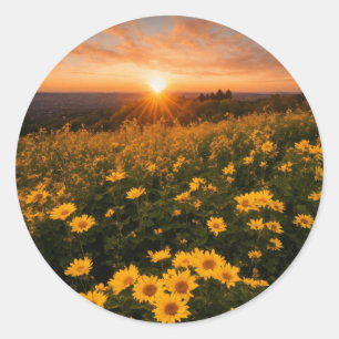 Adesivos redondos clássicos