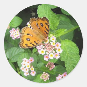 Adesivos redondos de borboletas laranja