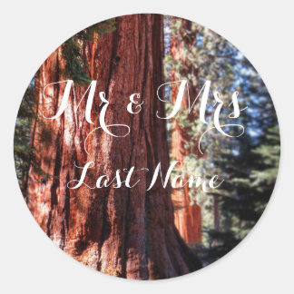 Adesivos Sequoia Gigantes