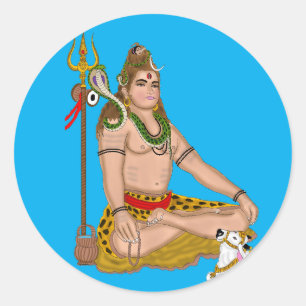 Adesivos Shankar