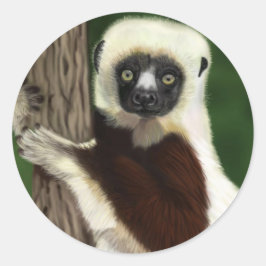 Adesivos Sifaka