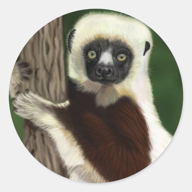 Adesivos Sifaka (Frente)