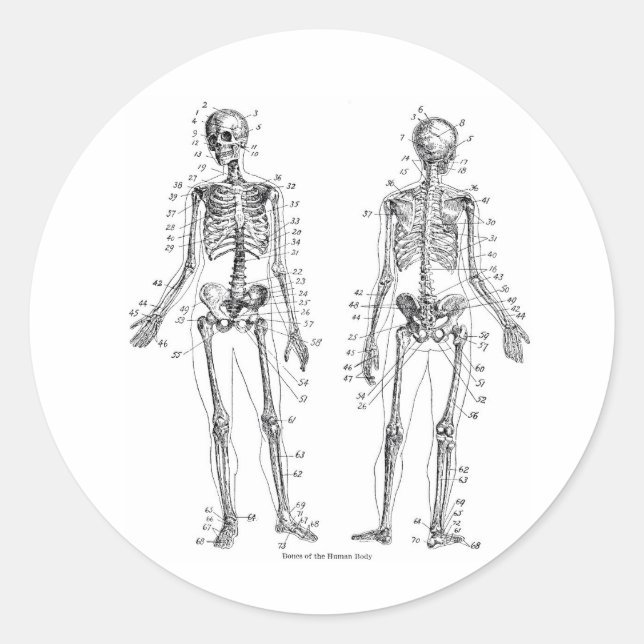 Adesivos Skeleton (Frente)