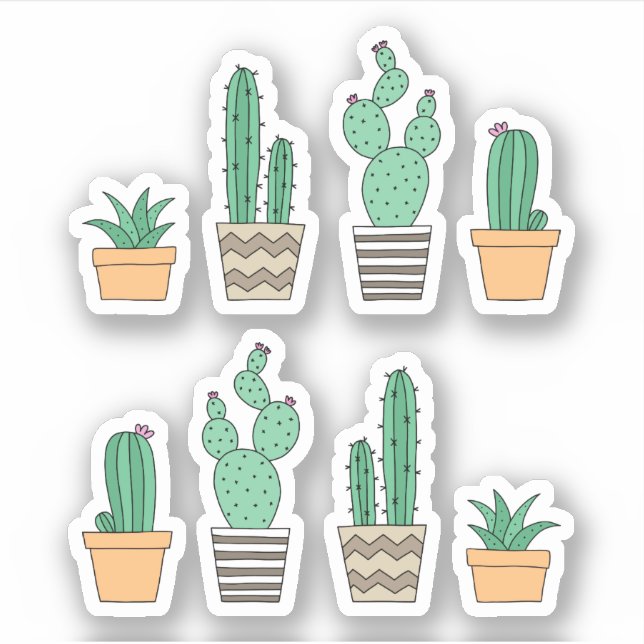 Adesivos succultivos de cactus cactos (Frente)