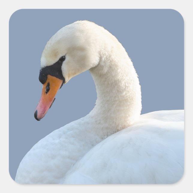 Adesivos Swan Branco (Frente)