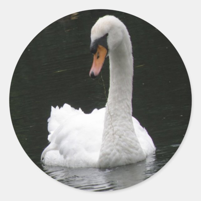 Adesivos Swan Branco (Frente)