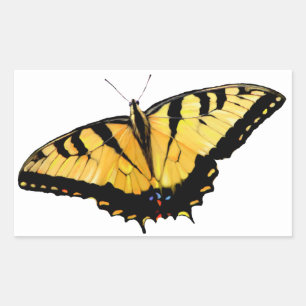 Adesivos Tiger Swallowtail