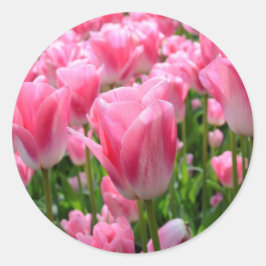 Adesivos Tulip Rosa