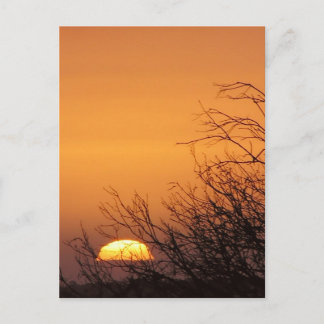 Adeus a Outro Cartão Postal Sunset