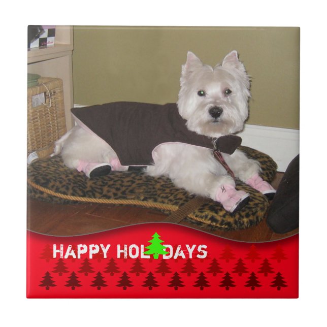 Adicionar Azulejo de Feriados Felizes com Fotos de (Frente)