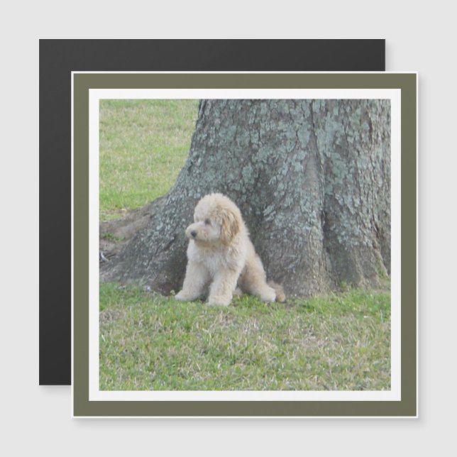 Adicionar foto ao modelo de quadrado de ímã verde  (Frente/Verso)