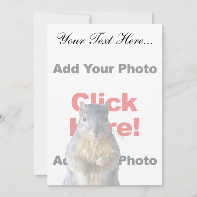 Adicionar Um Esquilo Personalizado (Frente)