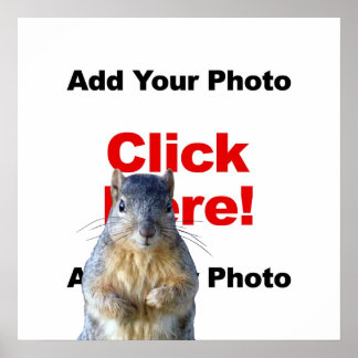 Adicionar um pôster personalizado de um esquilo