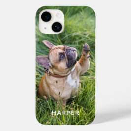 Adicione Sua Própria Foto do Cachorro Personalizad