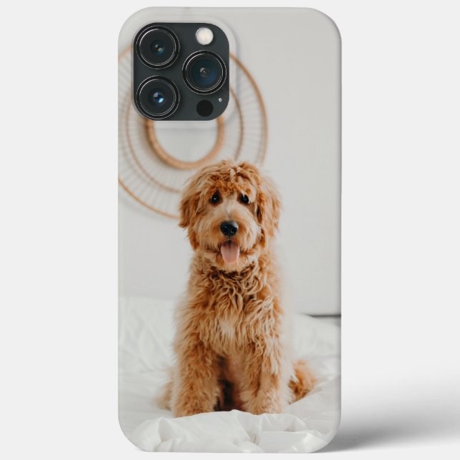Adicione sua própria imagem de foto Logo DIY Pictu (Verso)