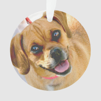 Adicione uma foto e todo o texto no ornamento