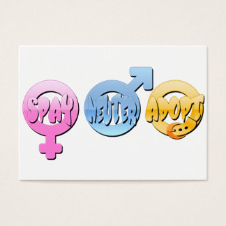 Adoção do Spay Neuter