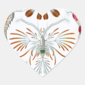 Adoramos adesivos de Ilustrações Científicas