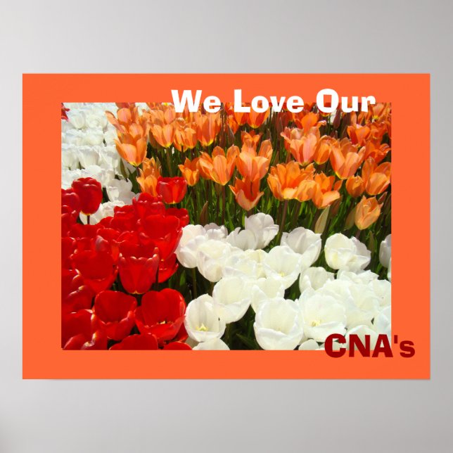 Adoramos as flores de poster laranja do nosso CNA (Frente)