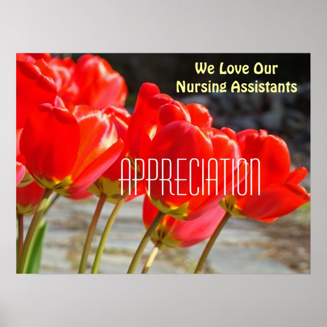 Adoramos Nossa Apreciação poster Dos Assistentes D (Frente)