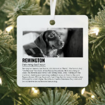 Adorável Animal de Estimação Personalizado
