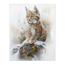 Adorável Baby Lynx - Arte acrílica com aquarela