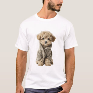 Adorável cachorrinho de Poodle Toy em Suéter de Tr