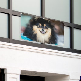 Adorável Cachorro Fofo Olhando Artesanato ao Ar Li